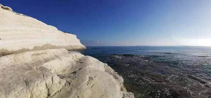 Mediterranea Проживание в семье *